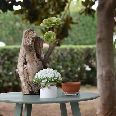 Sonia Séjour chez l'habitant