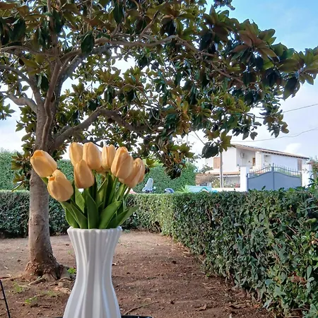 Quarto em Acomodações Particulares Sonia Syracuse