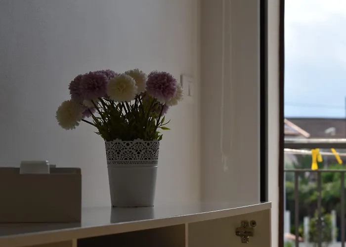 Sonia Séjour chez l'habitant