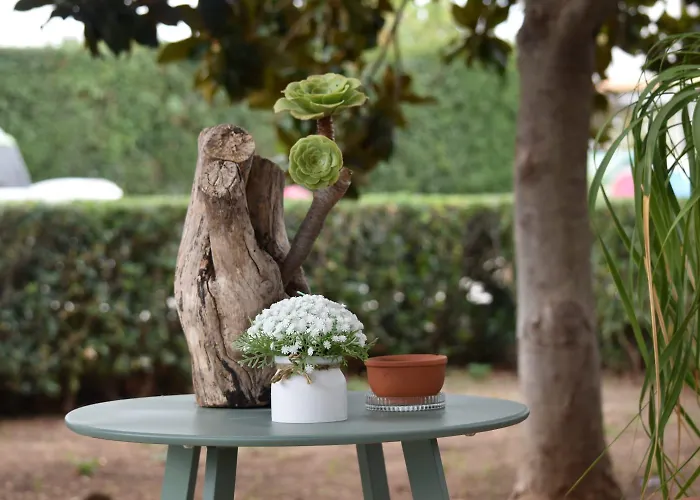 Sonia Séjour chez l'habitant