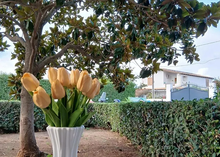 Séjour chez l'habitant Sonia Syracuse